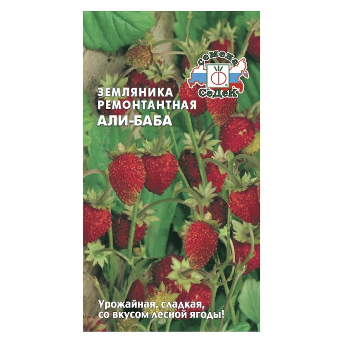 Земляника Али-Баба (СеДек)
