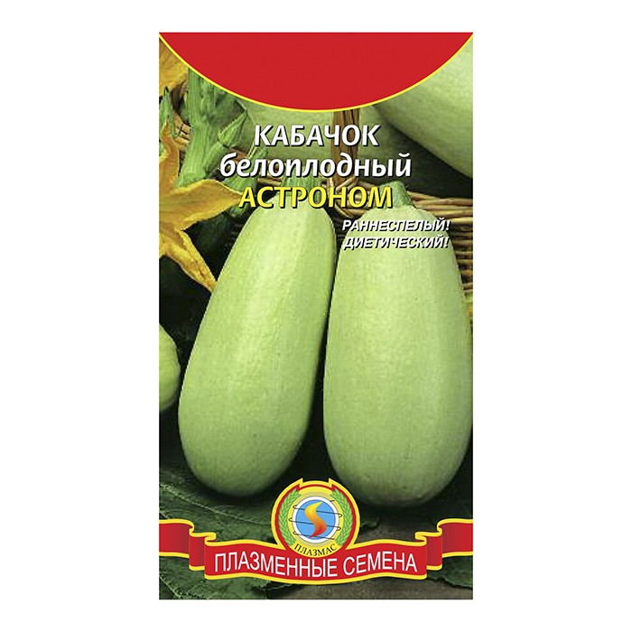 Кабачок белоплодный Астроном 10 шт (ПлазмаС)