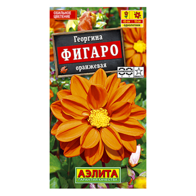 Георгина Фигаро махровая оранжевая  7шт (Аэлита)