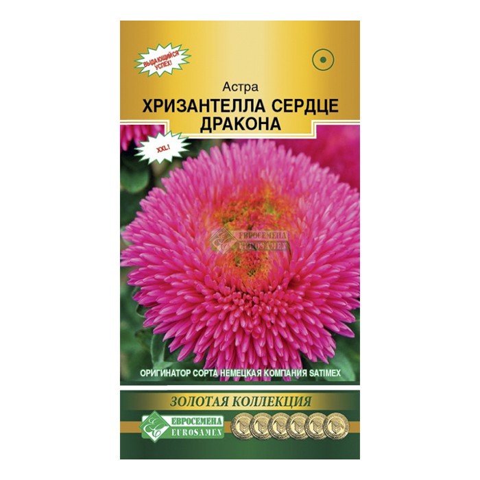 Астра китайская Хризантелла Сердце Дракона 5 шт. (ЕС) new23