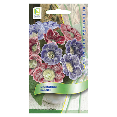 Глоксиния Жаклин (Поиск)