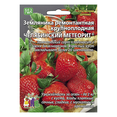 Земляника Челябинский метеорит - ремонтантная, 10 шт. (УД)