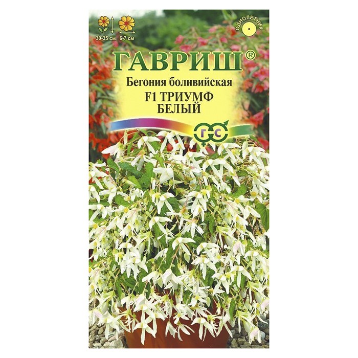 Бегония Триумф белый F1гранул. 4 шт. пробирка (Гавриш)