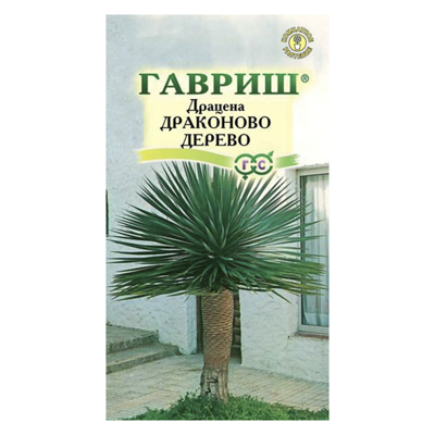 Драцена Драконово Дерево 3 шт. (Гавриш)