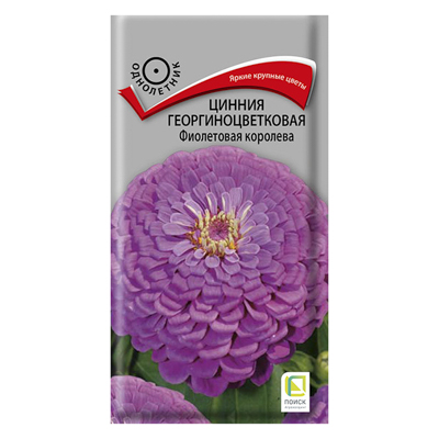 Цинния георгиноцветковая Фиолетовая королева, 0,4 г (Поиск)