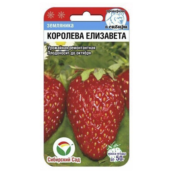 Земляника Королева Елизавета  10 шт. (Сиб Сад)