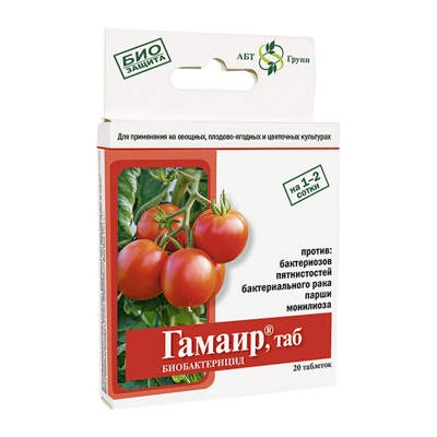 Гамаир 20 таб (АБТ)