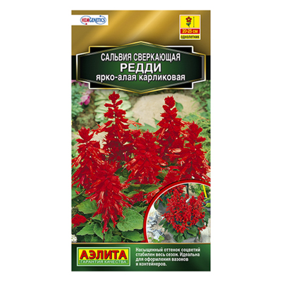 Сальвия Редди ярко-алая карликовая  7шт (Аэлита)