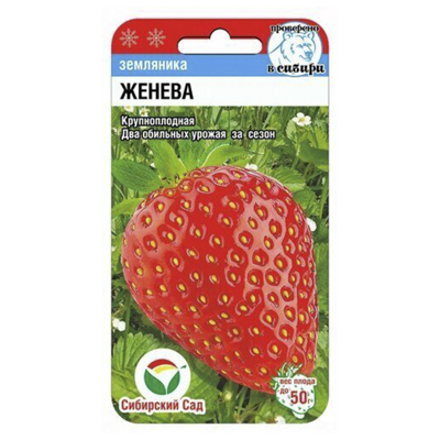 Земляника Женева  10 шт. (Сиб Сад)