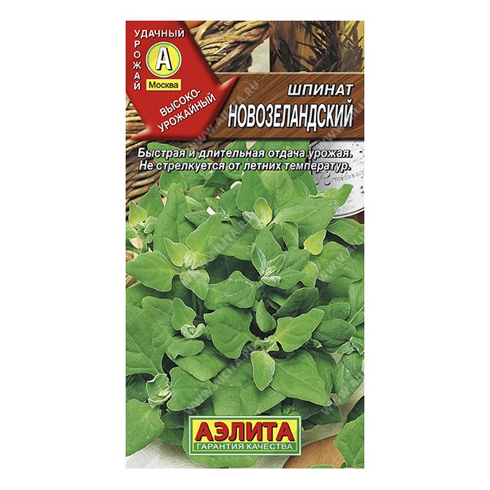 Шпинат Новозеландский, 1г (Аэлита)