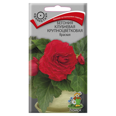 Бегония клубневая крупноцветковая Красная 5шт. (Поиск)