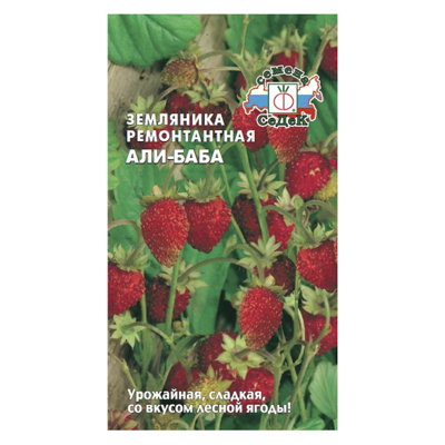 Земляника Али-Баба (СеДек)