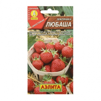 Земляника ремонтантная крупноплодная Любаша  10шт (Аэлита)