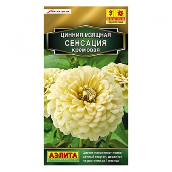 Цинния Сенсация кремовая  12шт (Аэлита)