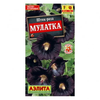 Шток-роза Мулатка 10шт (Аэлита)