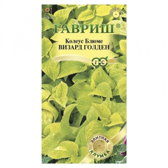 Колеус Визард Голден* 5 шт. Элитная клумба (Гавриш)