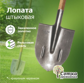 Лопата штыковая ЛКО рельс.сталь `Урожайная сотка` с ребр.жест с краш дер/чер S506-4