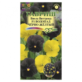 Виола Водопад черно-желтый F1, Виттрока (амп.)* 4 шт. (Гавриш)