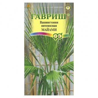 Вашингтония нитеносная Майами 3 шт. (Гавриш)