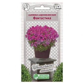 Льнянка марокканская Фантастика, 3 шт  (ЕС)