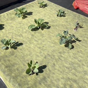 Укрывной материал №80 1,6 х 5 м двойная защита желто-черный 'Агротекс'