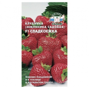Земляника Сладкоежка F1 (СеДек)