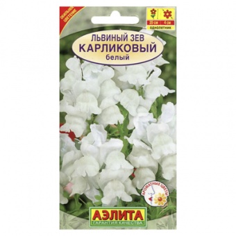 Львиный зев карликовый белый  10шт (Аэлита)
