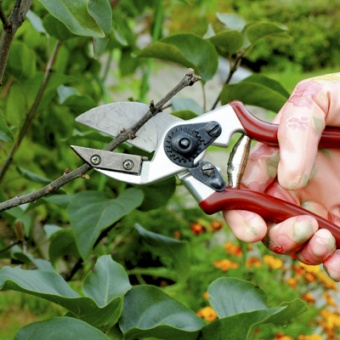 Секатор Профессиональный для сухих веток 215 мм с наковальней `Урожайная сотка Эксперт` PS3311 (SK5)