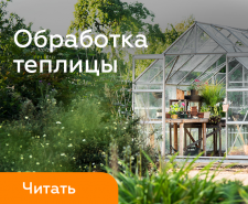 Подготовка теплицы к сезону