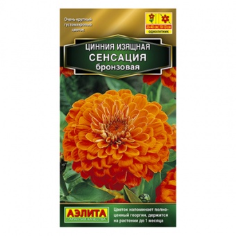 Цинния Сенсация бронзовая  12шт (Аэлита)