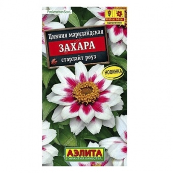 Цинния Захара старлайт роуз, 5шт (Аэлита)