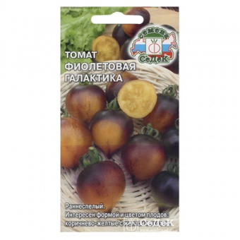 Томат Фиолетовая Галактика (СеДек)