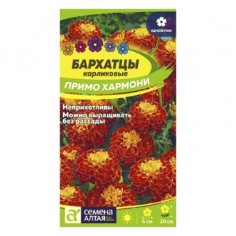 Бархатцы Примо Хармони карликовые 0,1 гр. (Семена Алтая)