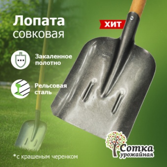 Лопата совковая ЛСП рельс.сталь `Урожайная сотка` с ребр жест с краш дер/чер S504-3