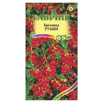 Брусника Руби 20 шт. (Гавриш)