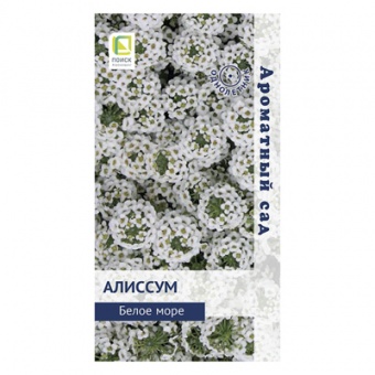 Алиссум Белое море, 0,3 г (Поиск)