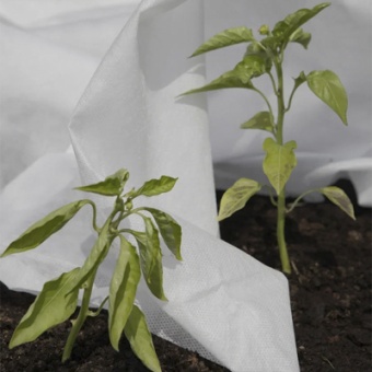 Укрывной материал №60 3,2 м х 10 м 'Агротекс'