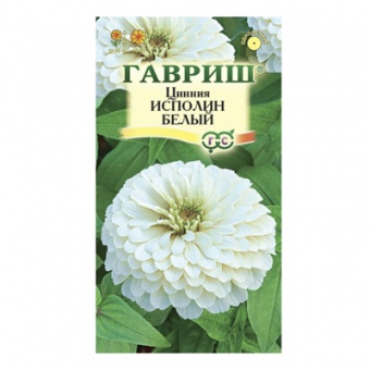 Цинния Исполин белый 0,3 г (Гавриш)
