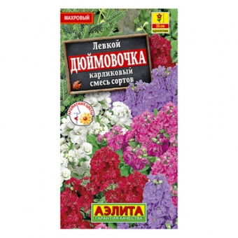 Левкой карликовый Дюймовочка, смесь сортов  0,1г (Аэлита)