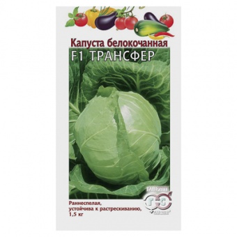 Капуста б/к Трансфер F1 10 шт. (Гавриш)