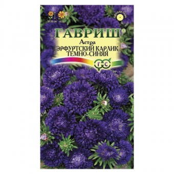 Астра Эрфуртский карлик Темно-синяя, однолетняя, 0,3 г (Гавриш)
