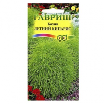 Кохия Летний кипарис (веничная) 0,3 г (Гавриш)