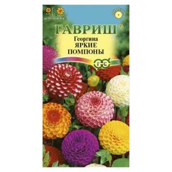 Георгина Яркие помпоны 0,2 г (Гавриш)