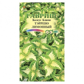 Колеус Тэррено лимонный* 4 шт. (Гавриш)