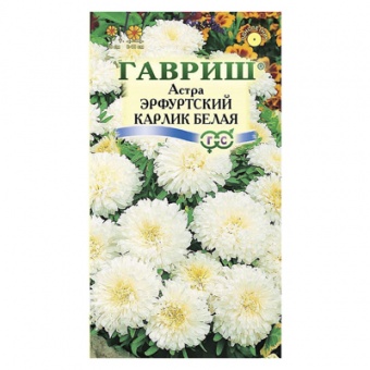 Астра Эрфуртский карлик Белая, однолетняя, 0,3 г (Гавриш)