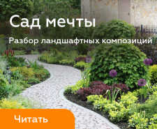 Сад мечты