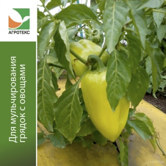 Укрывной материал №80 1,6 х 5 м двойная защита желто-черный 'Агротекс'