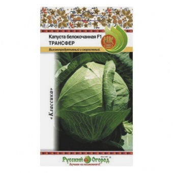 Капуста б/к Трансфер F1, 0,25 г (НК)