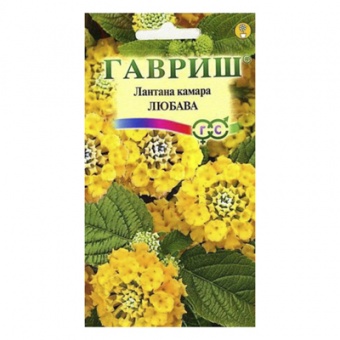 Лантана сводчатая Любава* 0,1 г (Гавриш)
