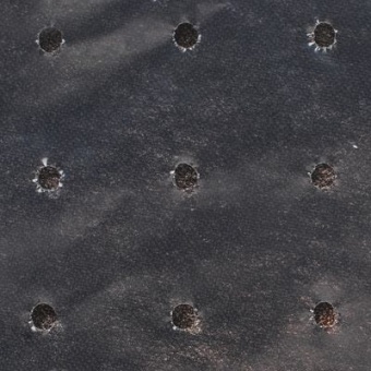 Пленка Полиэтил с отверстиями 50 мкр (10х0,65 м) 
